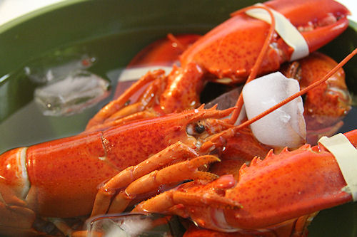 How to Make Lobster Stock – A Cup of Sugar … A Pinch of Salt